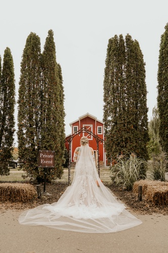 Wedding Production