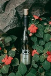 Wine on the Rock Commerical Branding Photography by Minneapolis Photographer